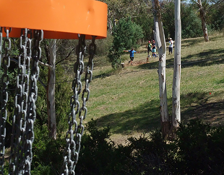 Disc Golf New Zealand